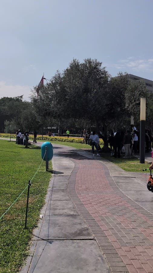 Parque de la Felicidad — foto
