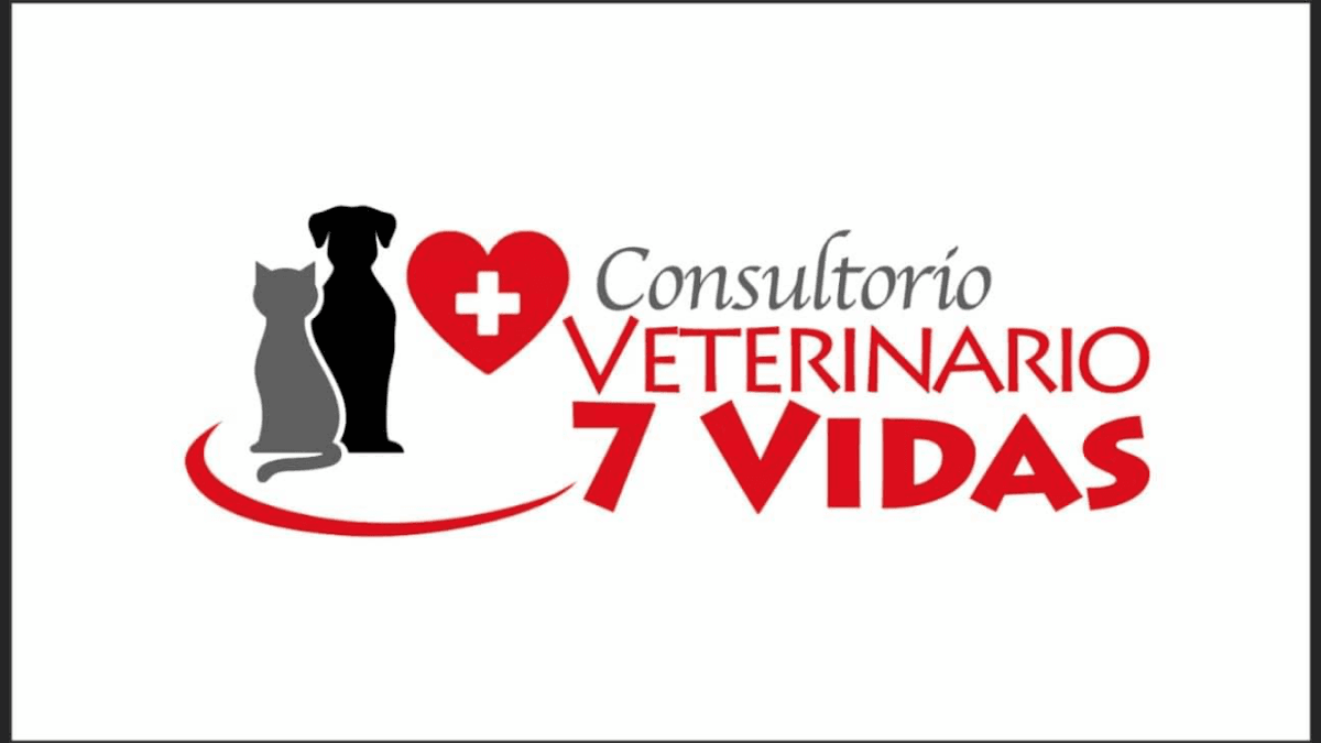 Veterinaria 7 VIDAS — foto