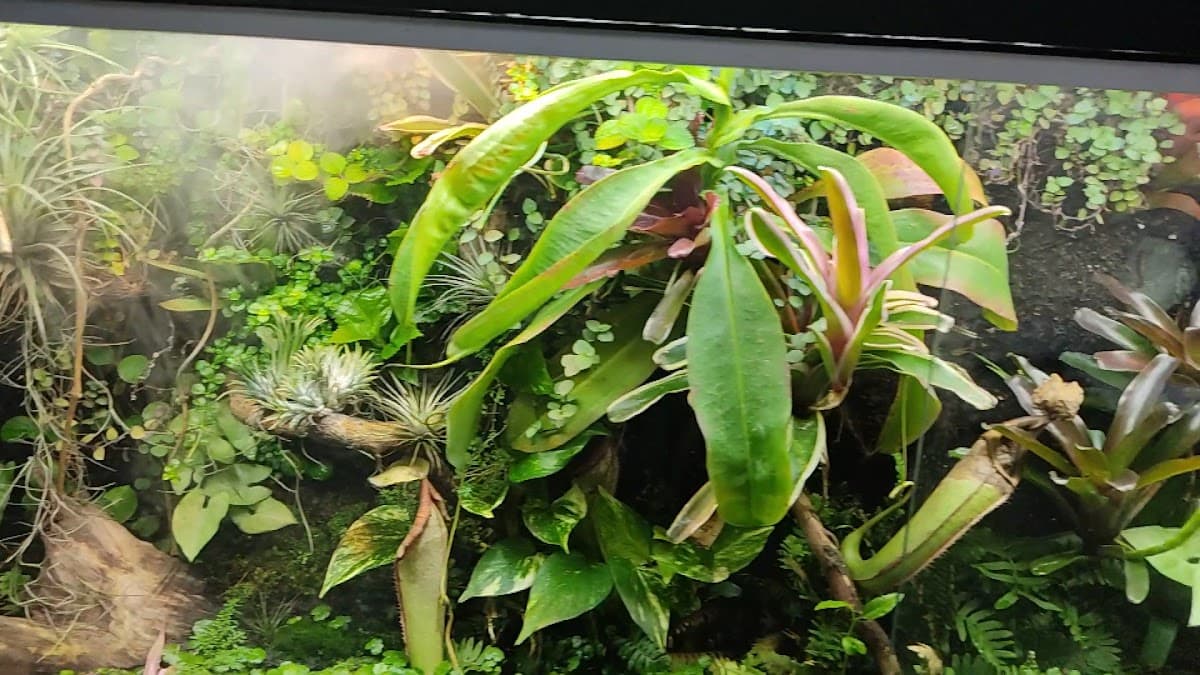Veterinaria Los Chorros — foto