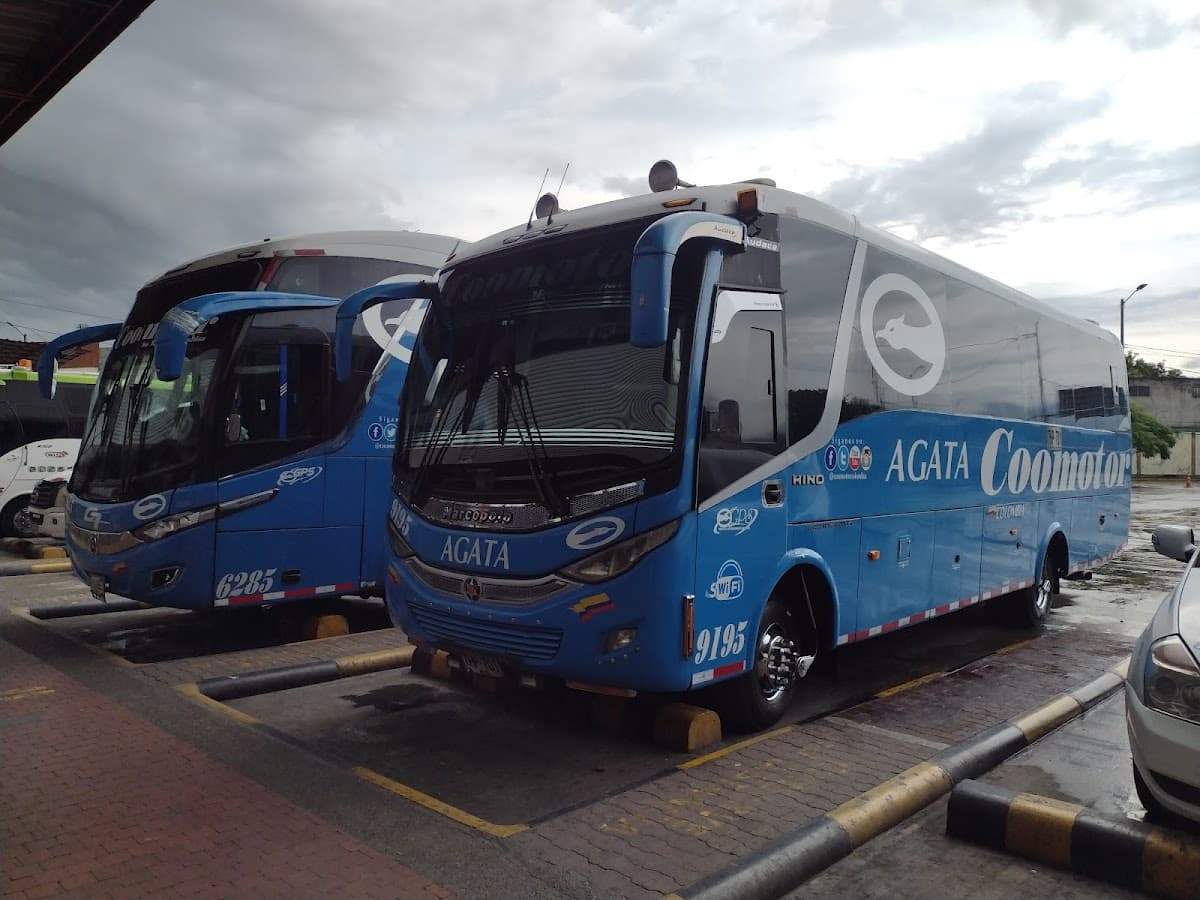 Terminal de Transporte Neiva — foto