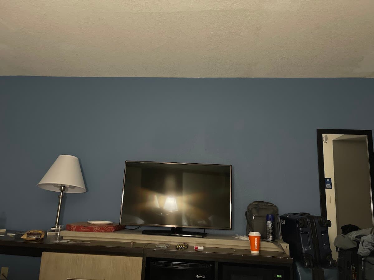 Wyndham Garden Jacksonville — foto