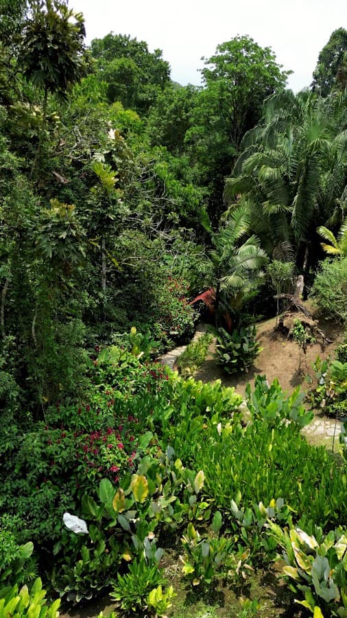 Jardín Botánico San Jorge — foto
