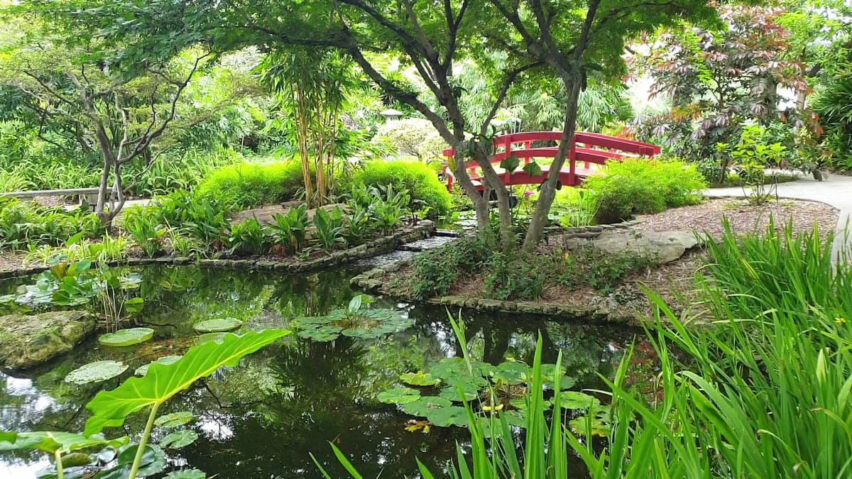 Jardín Botánico de Miami Beach — foto