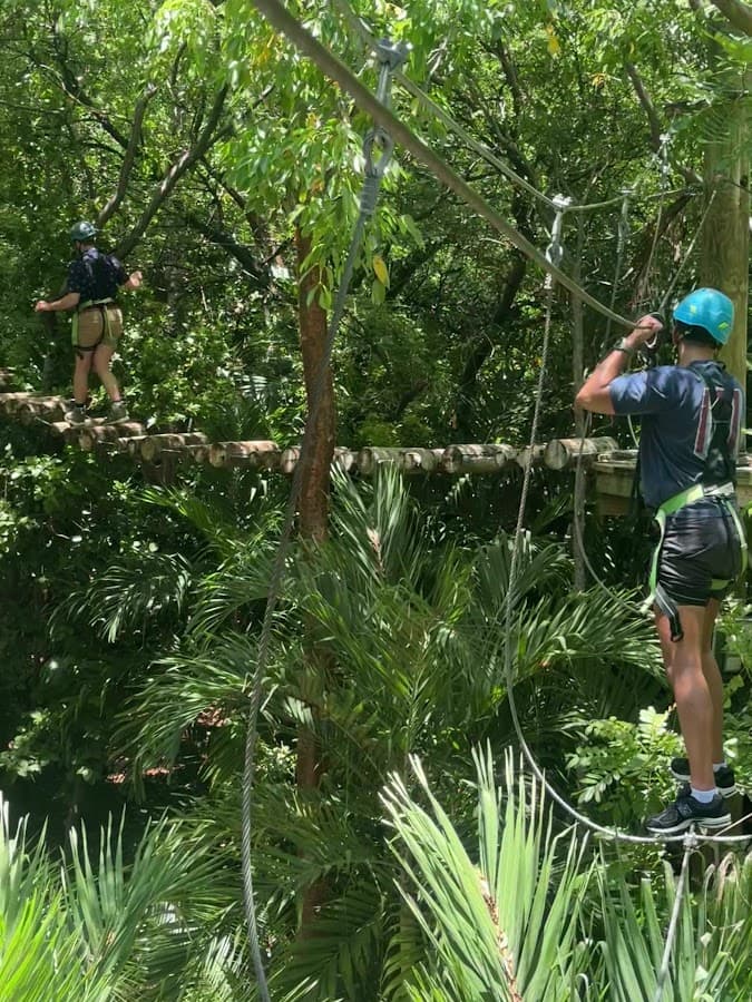 Treetop Trekking Miami — foto