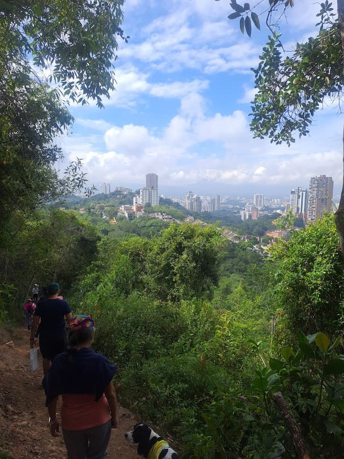 Bosque de los Caminantes — foto