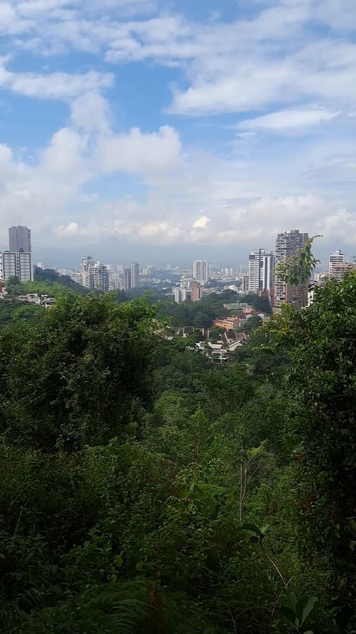 Bosque de los Caminantes — foto