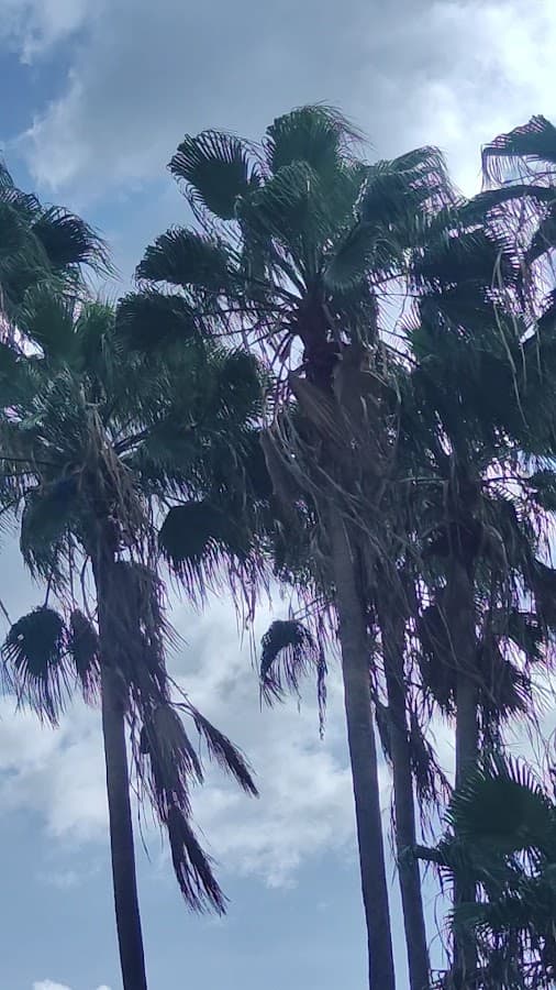 Plaza Venezuela — foto