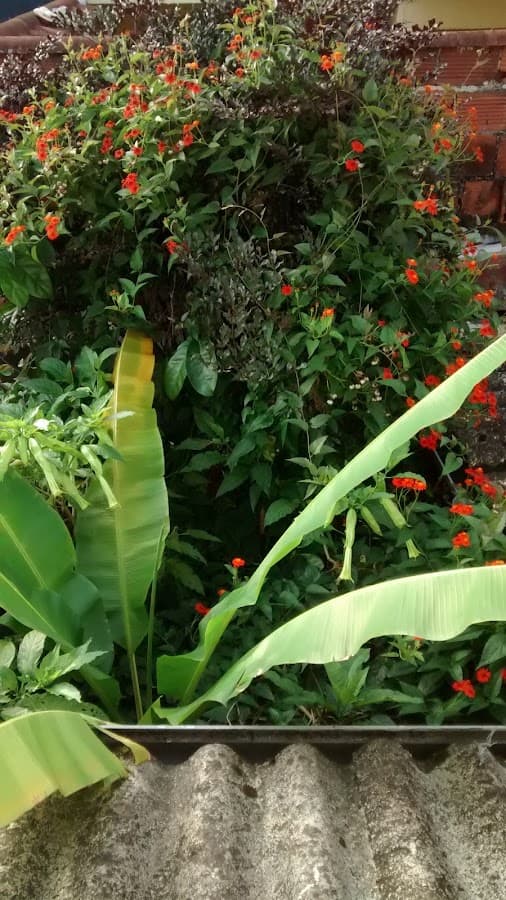 Parque Santa Josefa Civil — foto