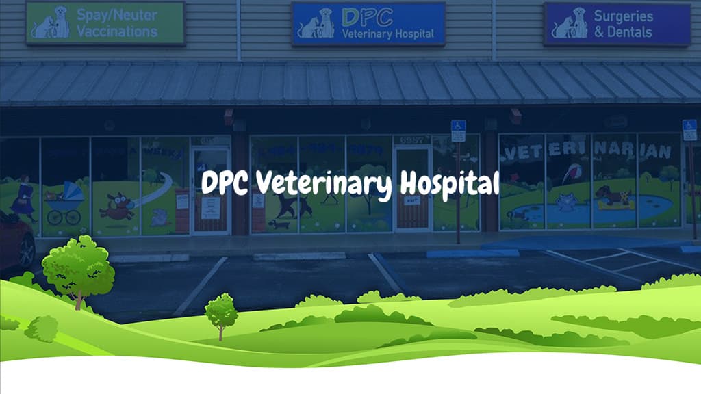 DPC Veterinary Hospital