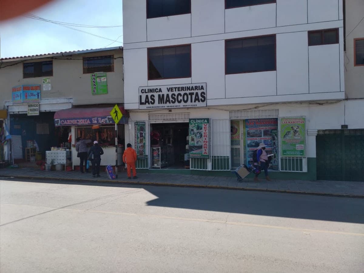 Clinica veterinaria "Dr. Galicia" - Las mascotas