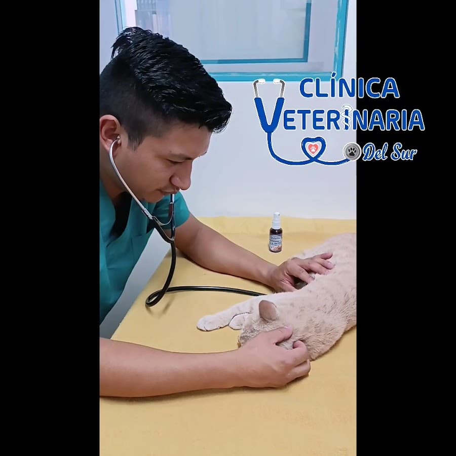 Hospital Veterinario Quito Sur — foto
