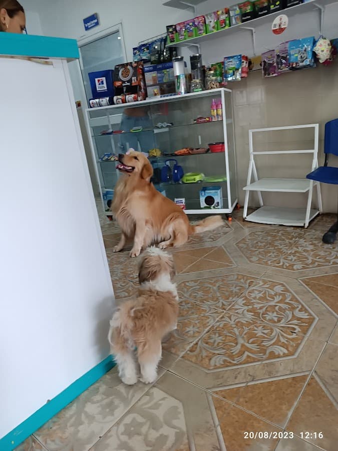 Bluevet Center — foto