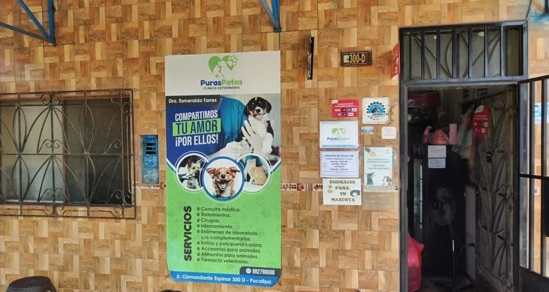 Veterinaria puras patas — foto