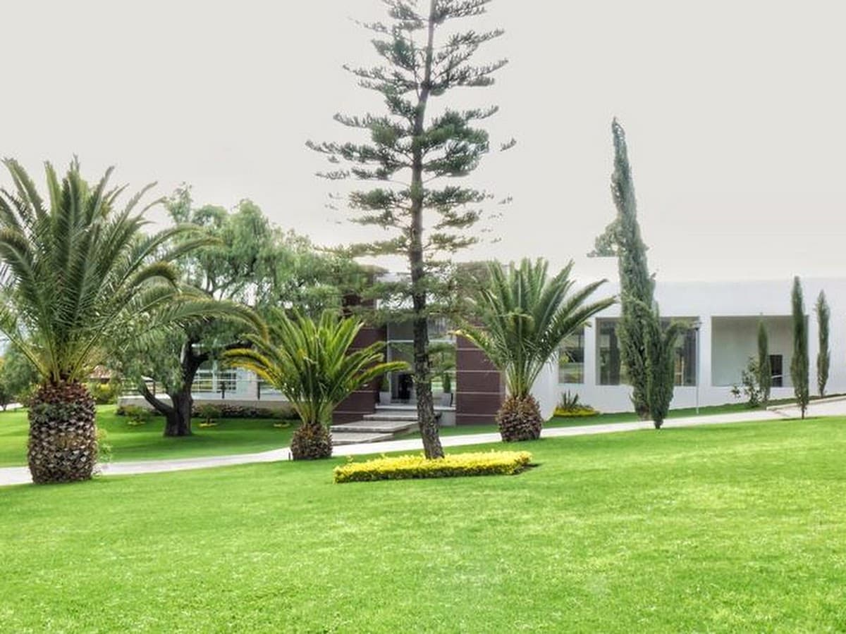 Salón de eventos Alcalá — foto