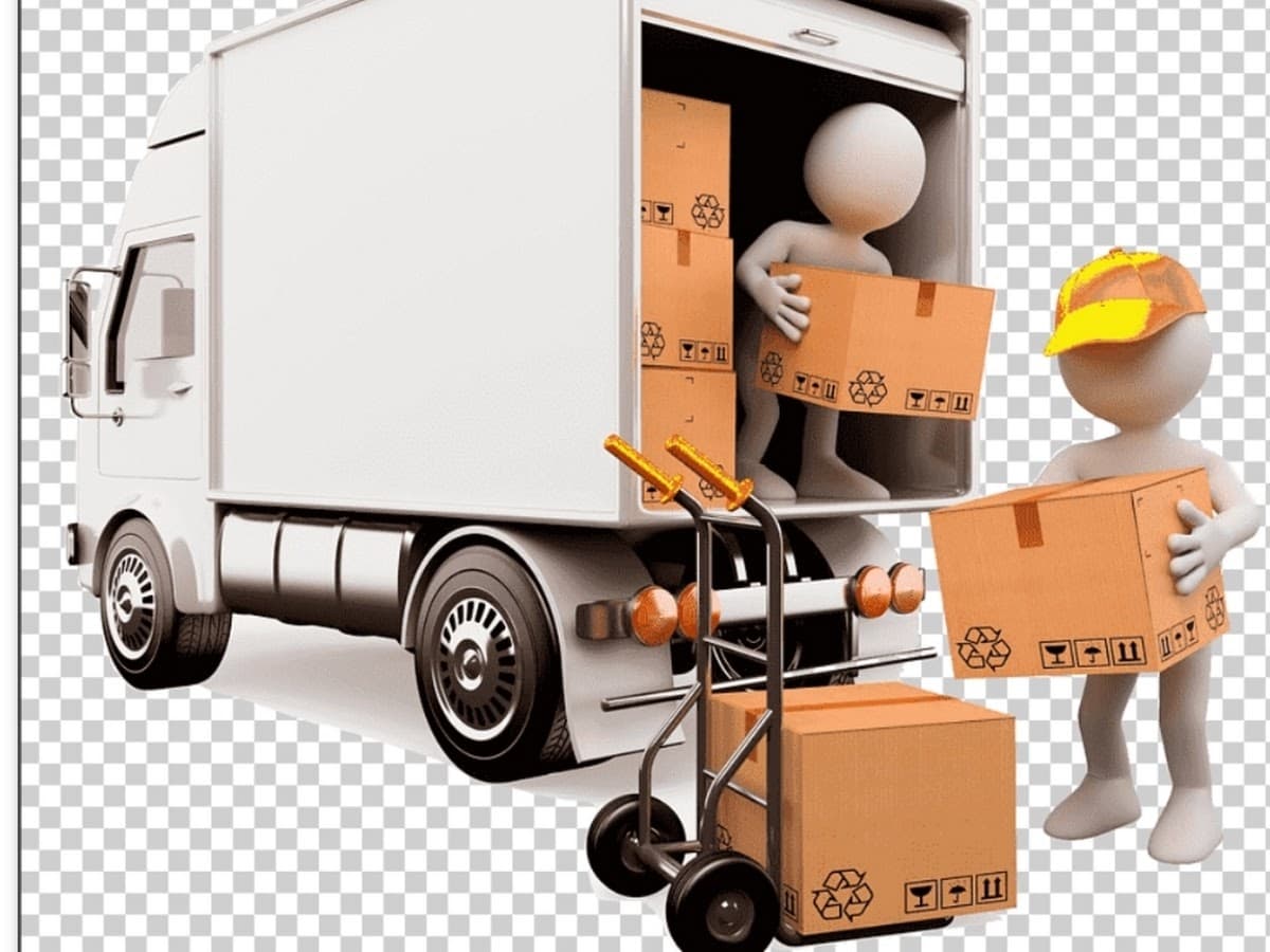 TRANSPORTES BL DEL CARIBE — foto