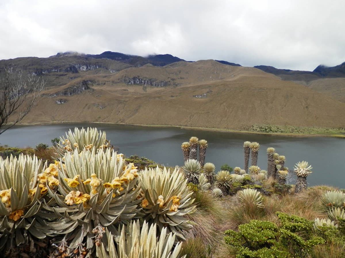 Tour Colombia — foto