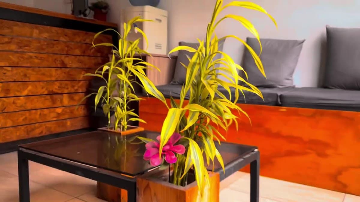 Hostal Luxury - Hotel Manizales - Hostales - Alojamientos - Habitaciones - Alojamientos — foto