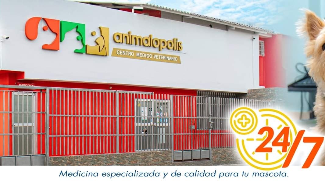 Animalopolis Hospital Clinica Veterinaria