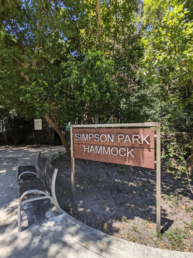 Parque Simpson