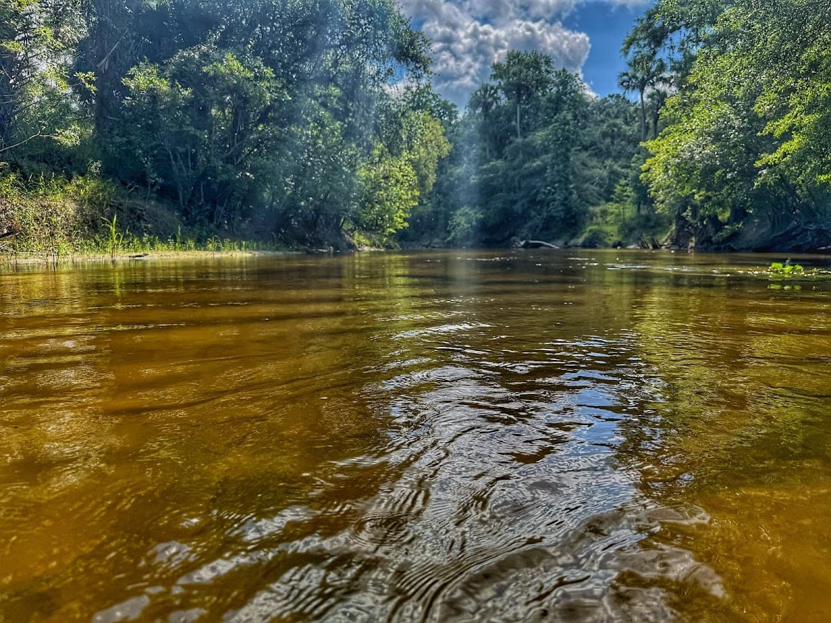 Adventures In Florida — foto