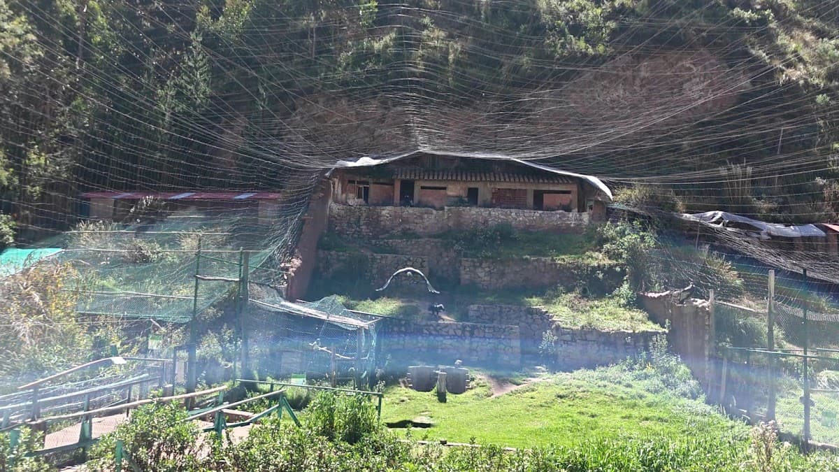 Cochahuasi Animal Sanctuary — foto