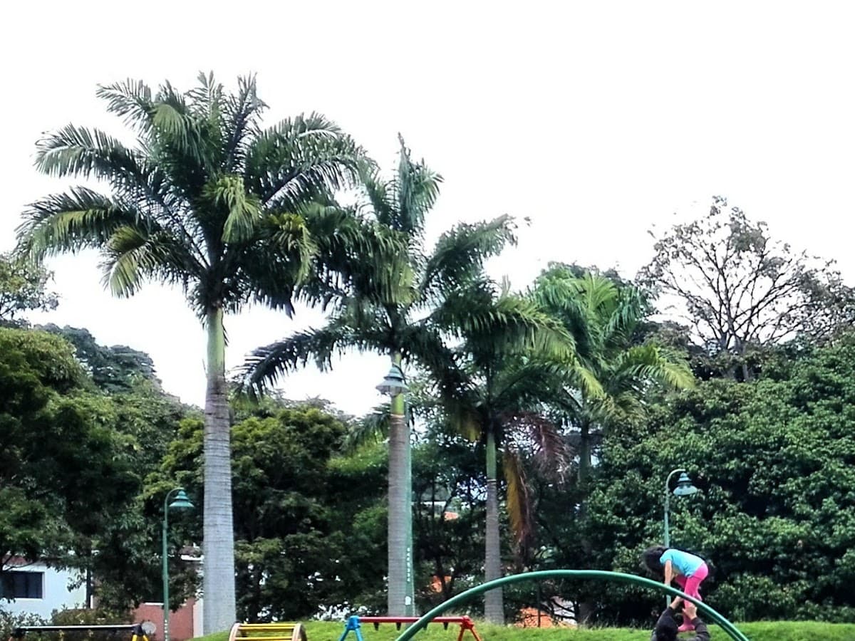 Parque Agustín Codazzi — foto
