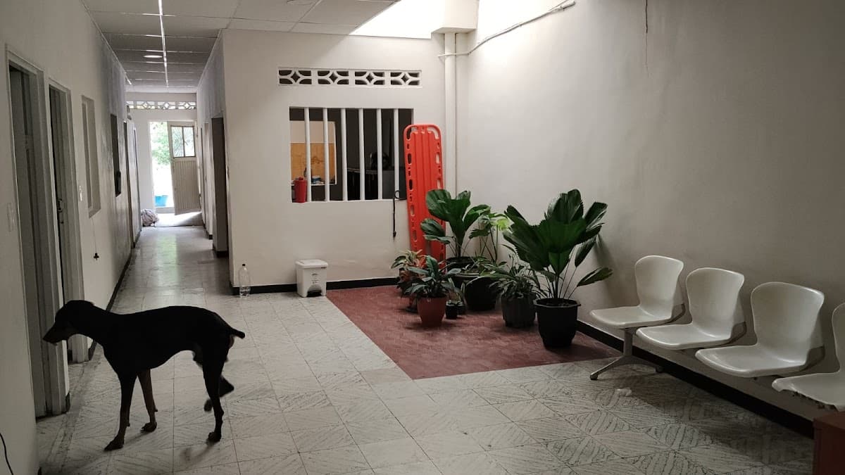 La Rivera Urgencias veterinarias 24hrs — foto