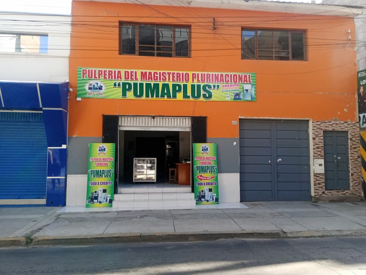 PUMAPLUS COCHABAMBA