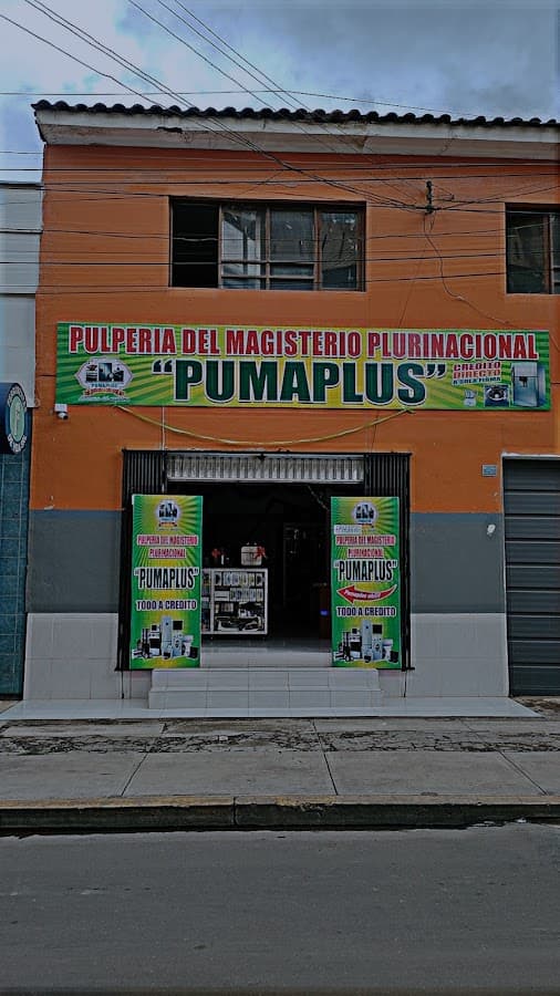 PUMAPLUS COCHABAMBA — foto