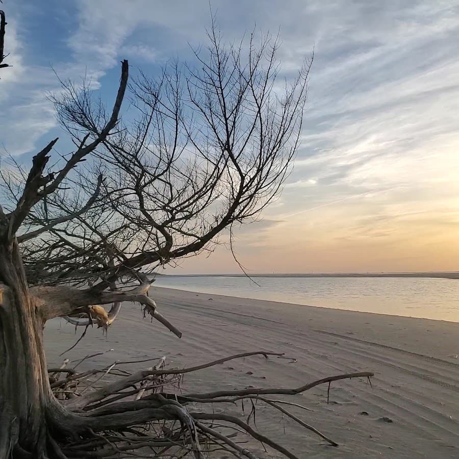 Little Talbot Island State Park — foto
