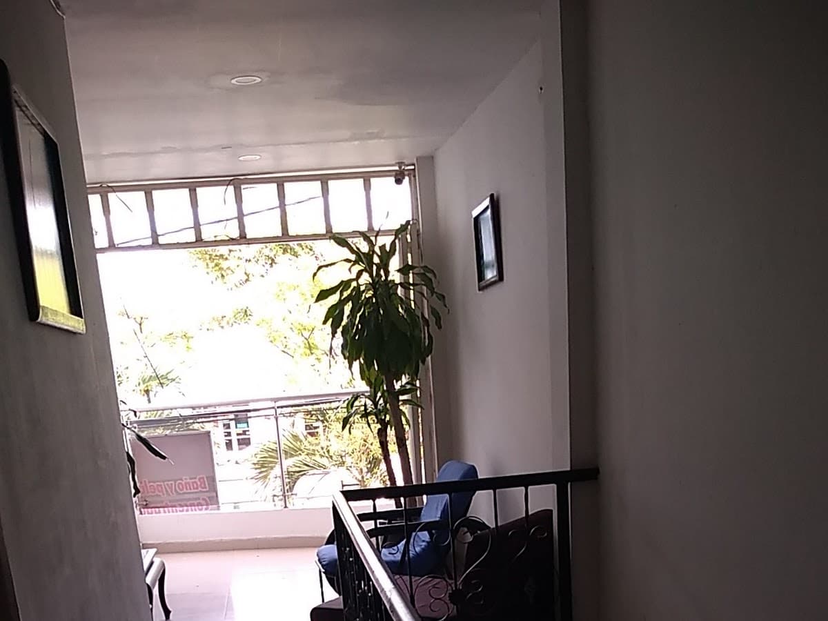 Del Campo Veterinaria — foto