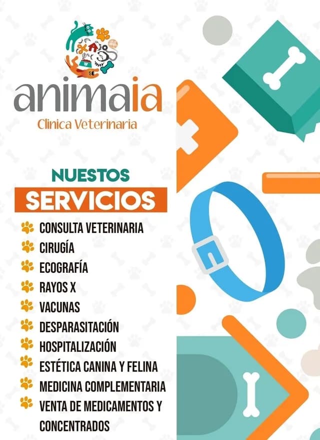 Animaia Clinica Veterinaria — foto