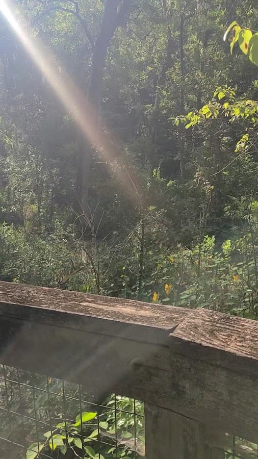 Tree Hill Nature Center — foto