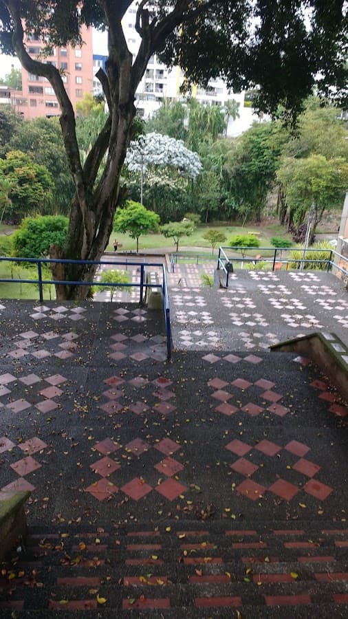 Parque de PINARES 1 — foto