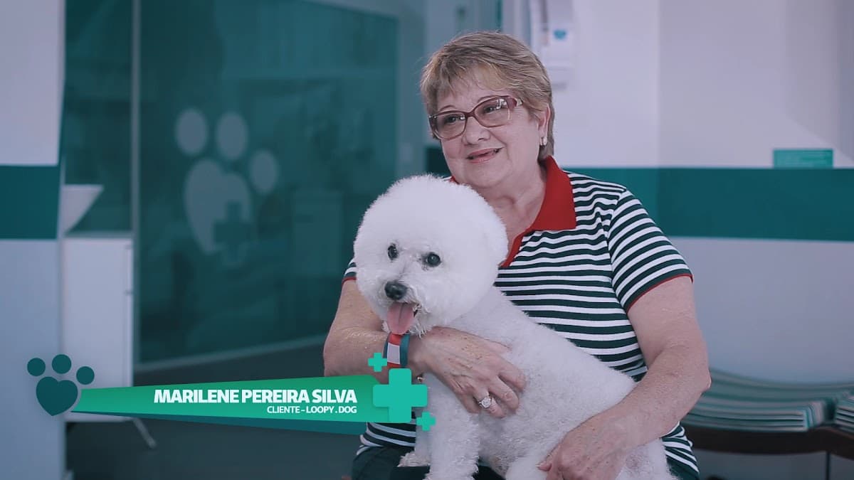 Cão.Com Hospital Veterinário - 24 H — foto