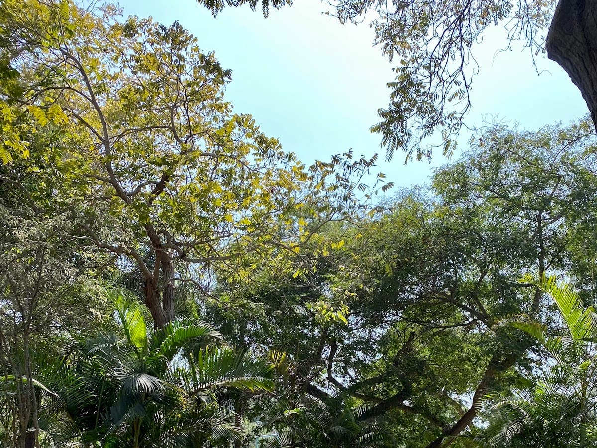 Parque Mariscal Ramón Castilla