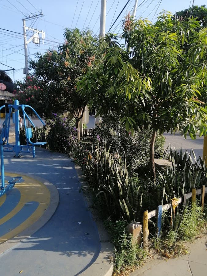 Parque La Lucha — foto