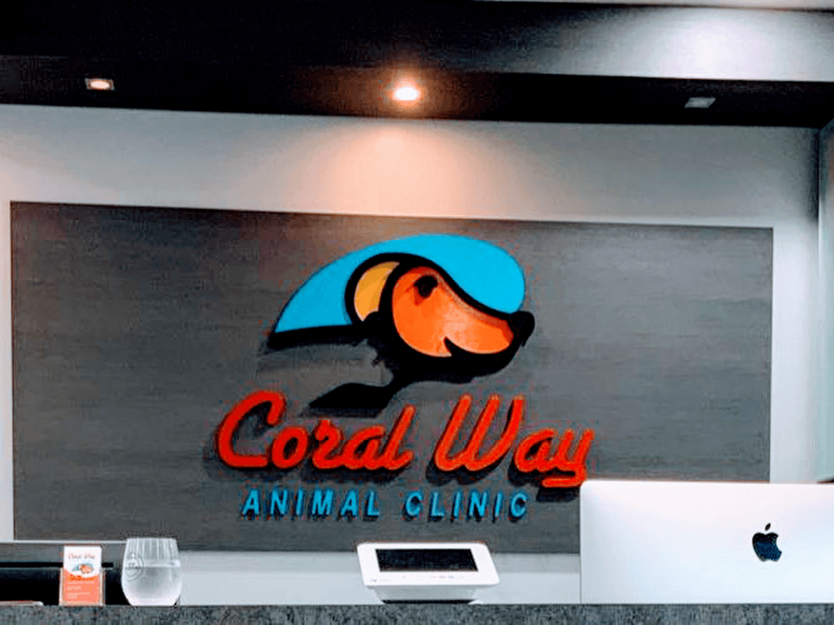 Clinica bajos recurdos animal — foto