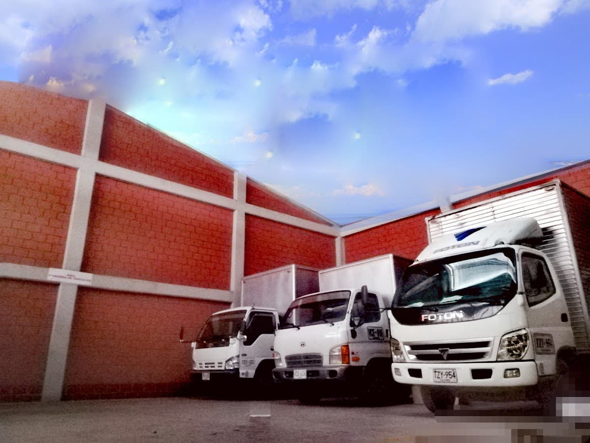 Transportes open logística y servicios sas — foto