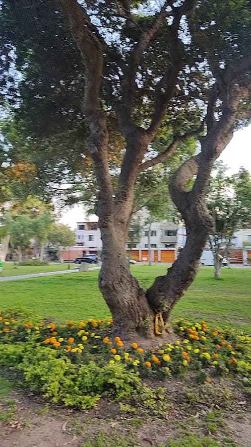 Parque de los Periodistas — foto