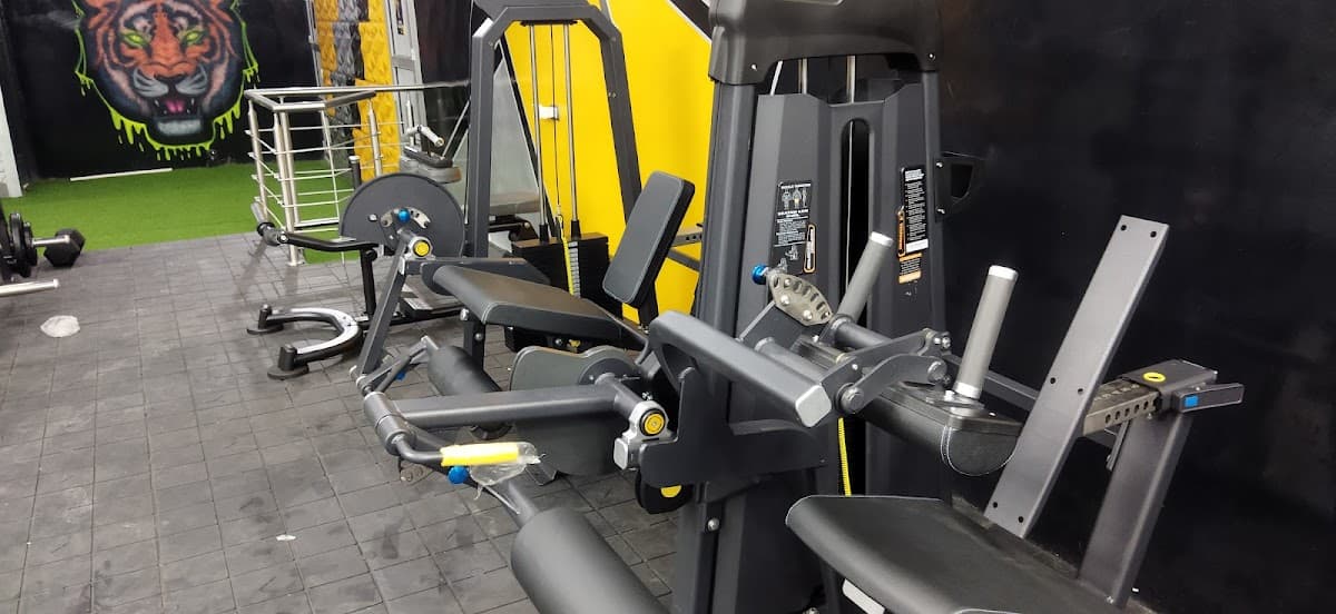 Beast Gym — foto