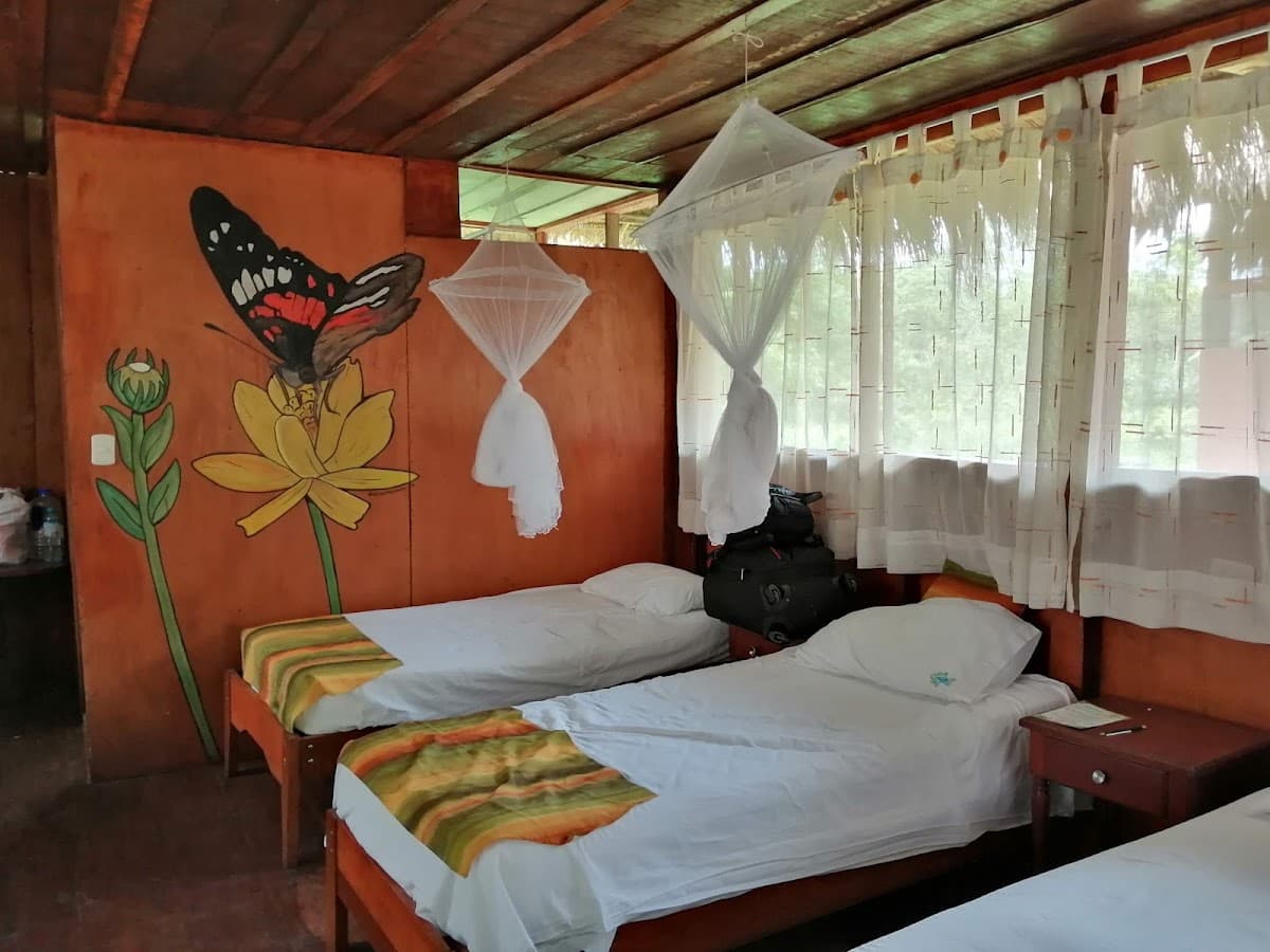 Avatar Amazon Lodge & Canopy Park — foto