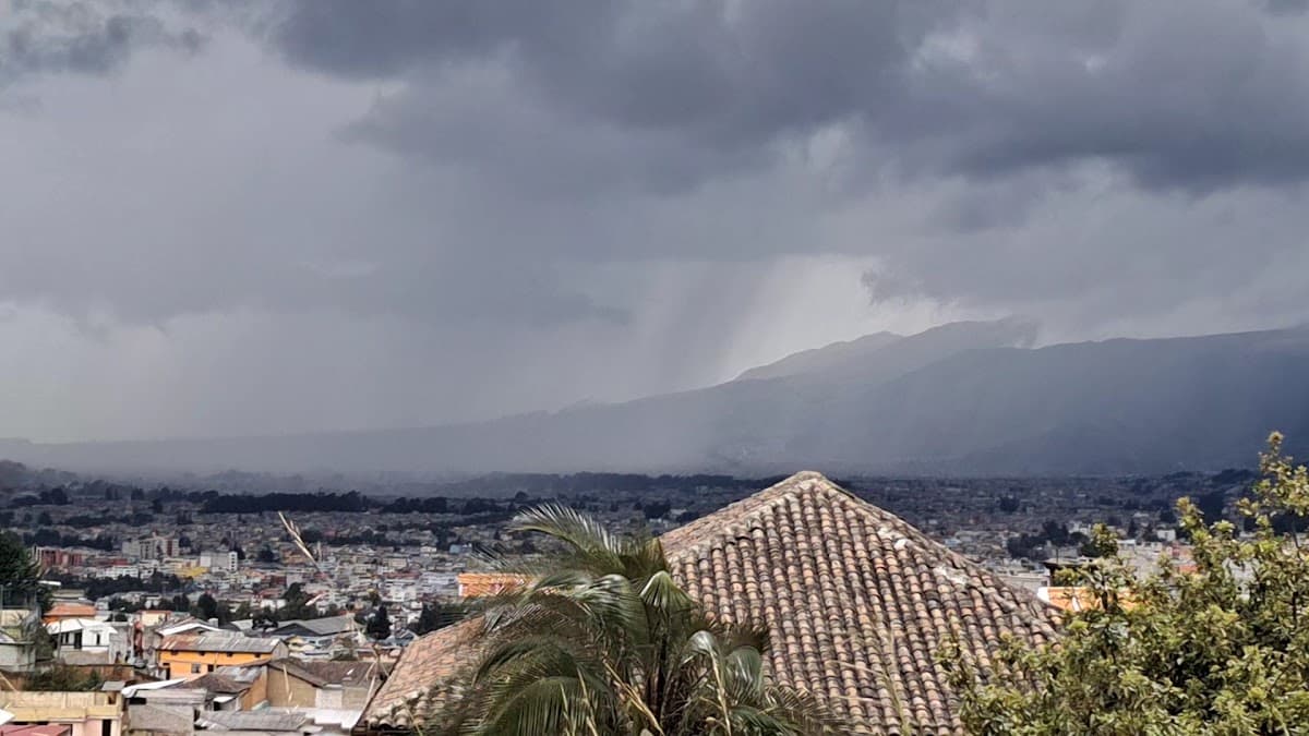 Bosque del Panecillo — foto