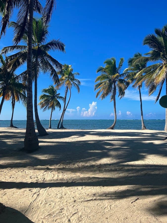 SOLCARIBE MATRIZ AGENCIA DE VIAJES — foto
