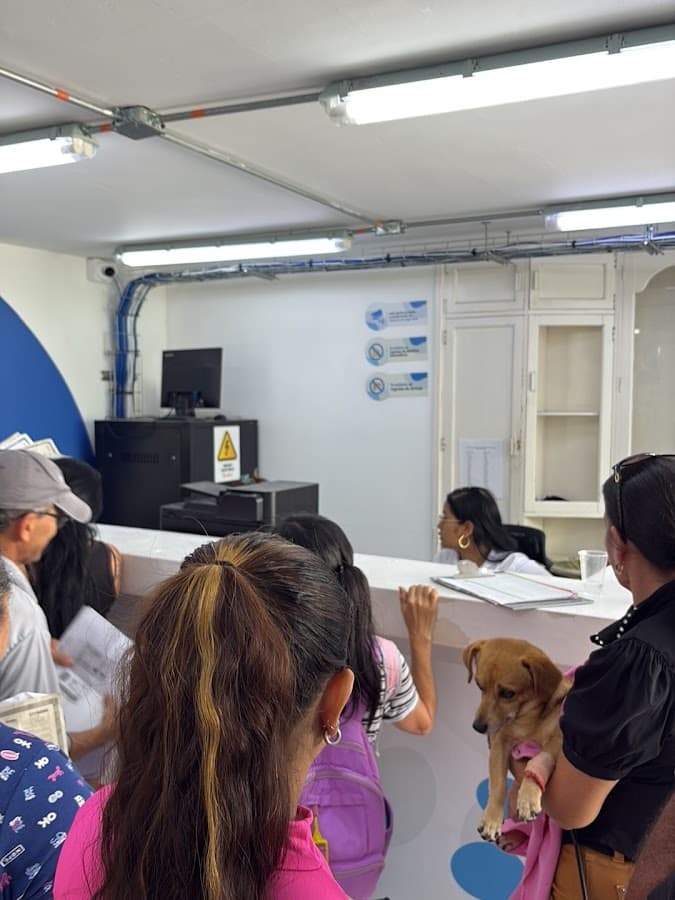 Hospital Público Veterinario — foto