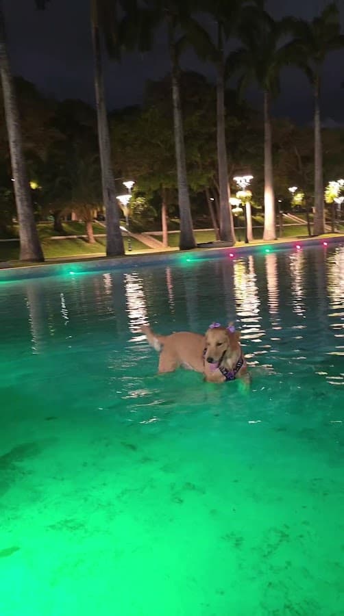 Paseo Los Próceres — foto