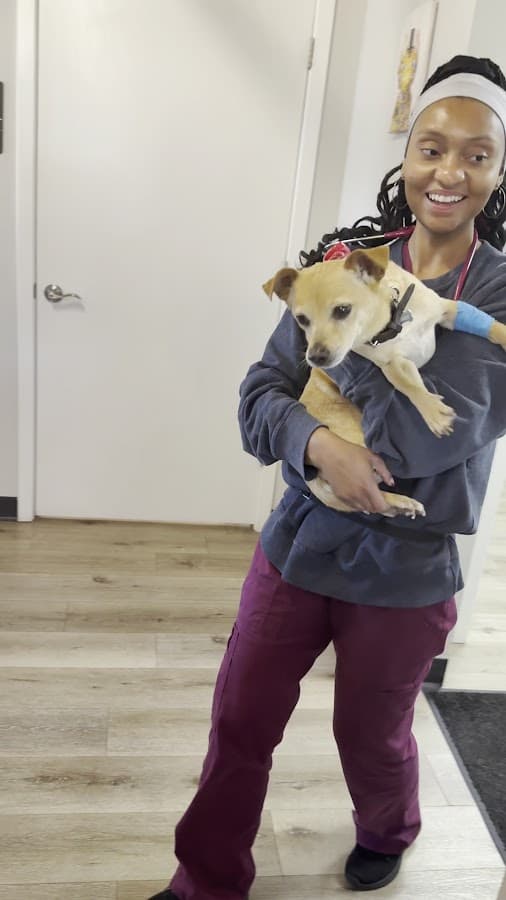 The Heights Veterinary Clinic — foto