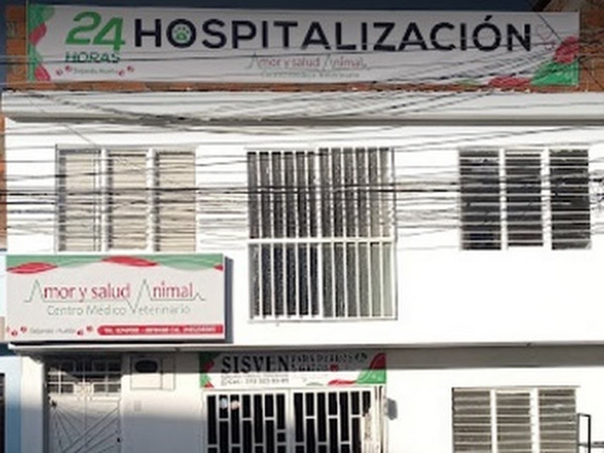 Centro Médico Veterinario Veter Salud — foto