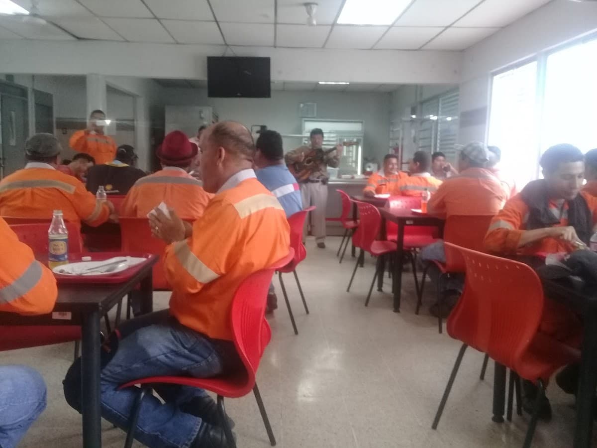 MAMUT ANDINO — foto
