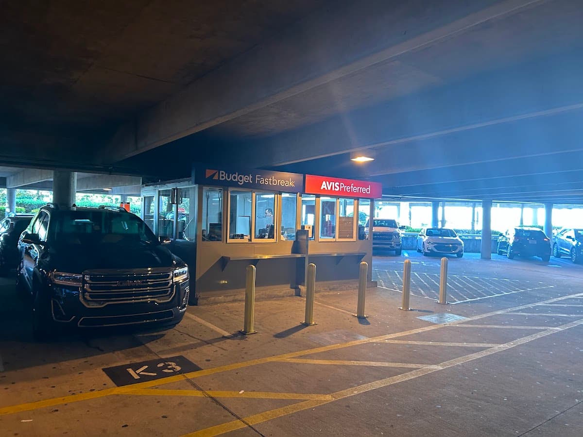 Avis Car Rental